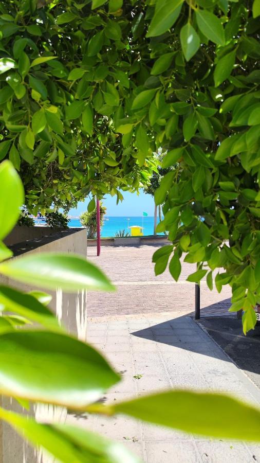 Fabelo Apartment, Puerto Del Rosario Puerto del Rosario  Dış mekan fotoğraf